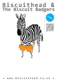 Zebra poster